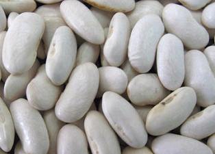 Fasuliya (Great northern bean)