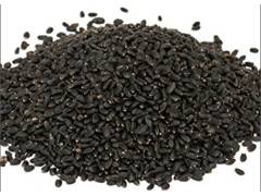 Basil seeds